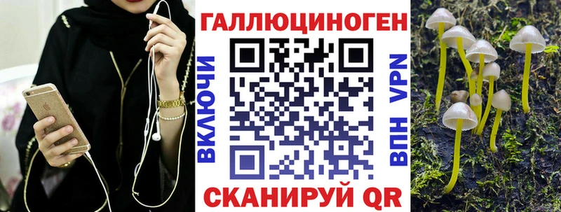 блэк спрут ONION  Курск  Галлюциногенные грибы Cubensis 